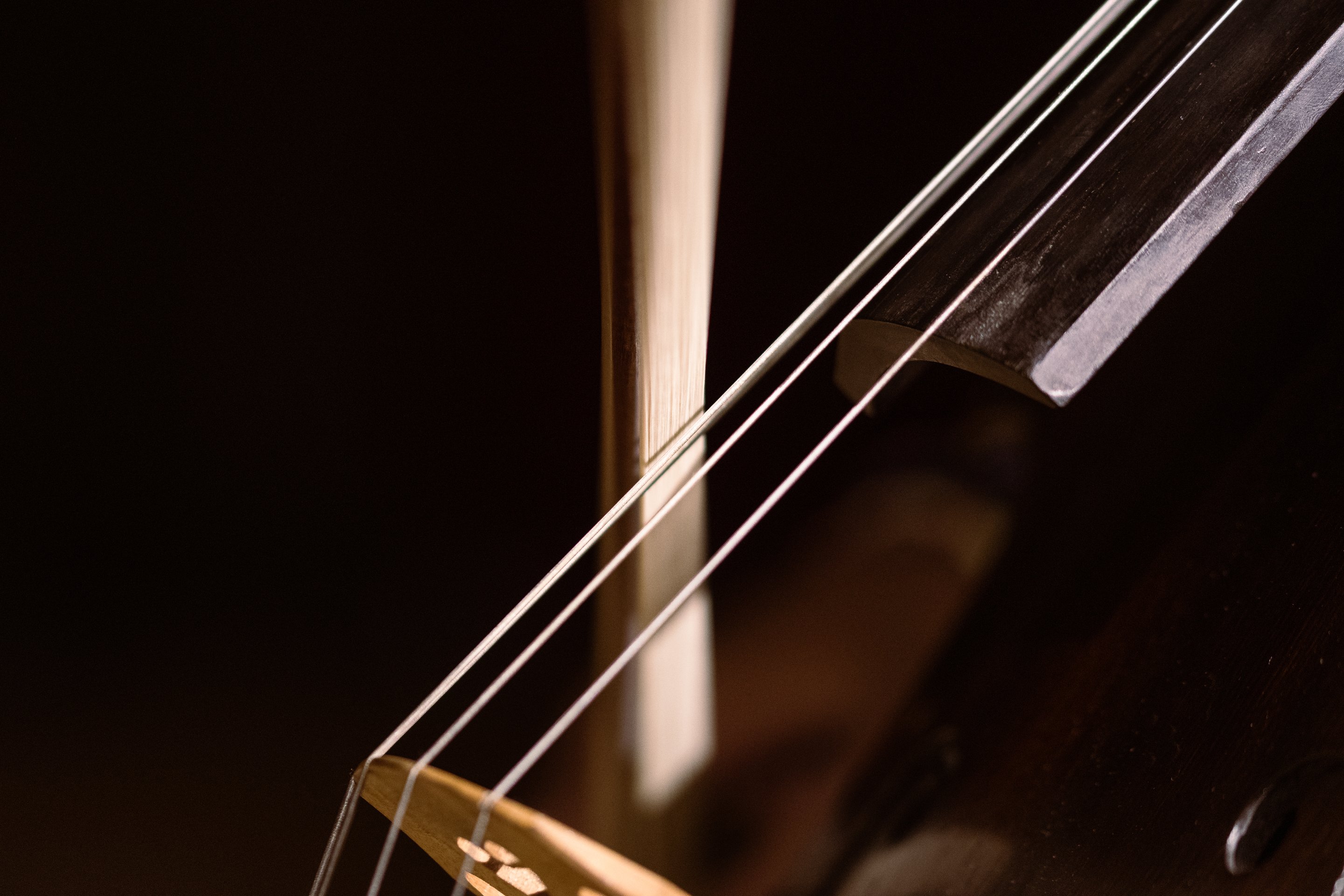 _DSC0650