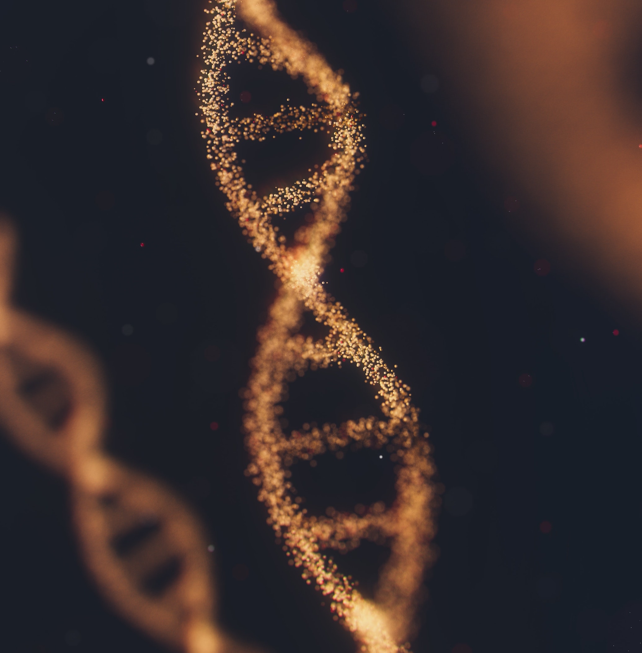 anirudh-YQYacLW8o2U-unsplash-1 anirudh-YQYacLW8o2U-unsplash-1
