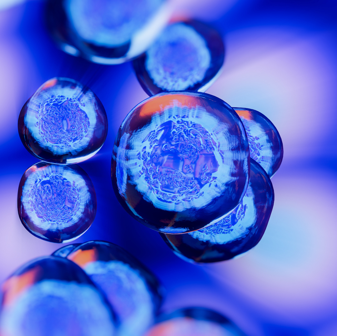 blue stem cells
